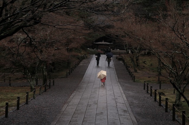 Kyoto 京都市 7